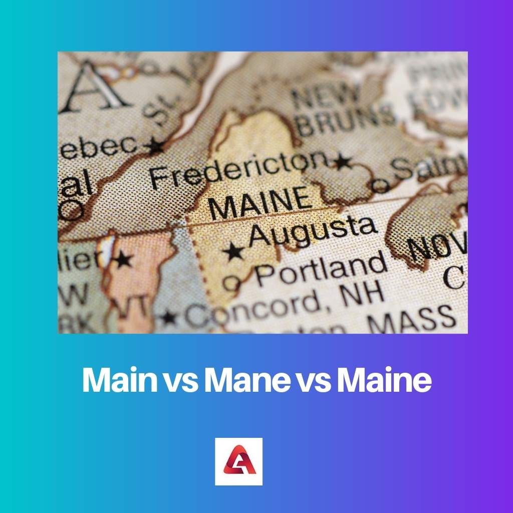 Principal vs Mane vs Maine