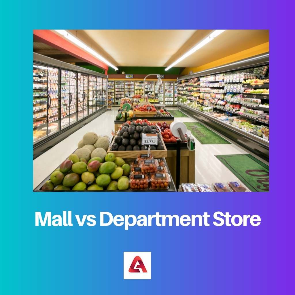 Mall vs Department Store