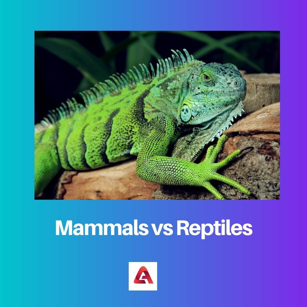 Mammals vs Reptiles