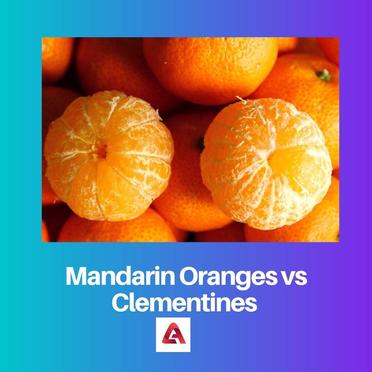 Différences entre clémentines, mandarines et oranges : les Agrumes, une  grande famille originaire d'Asie - Quoi dans mon assiette