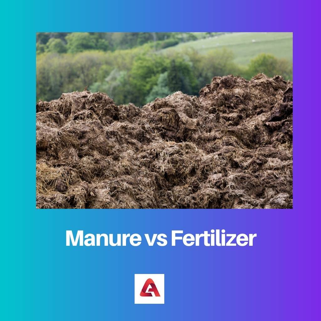 Manure vs Fertilizer