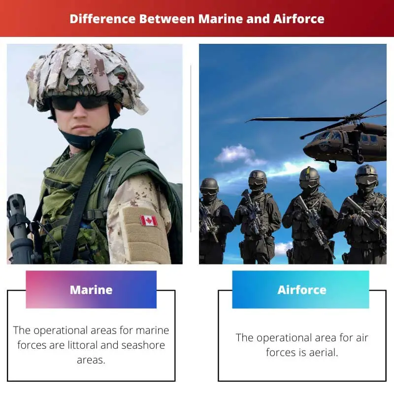 Marine vs Airforce - Forskellen mellem Marine og Airforce