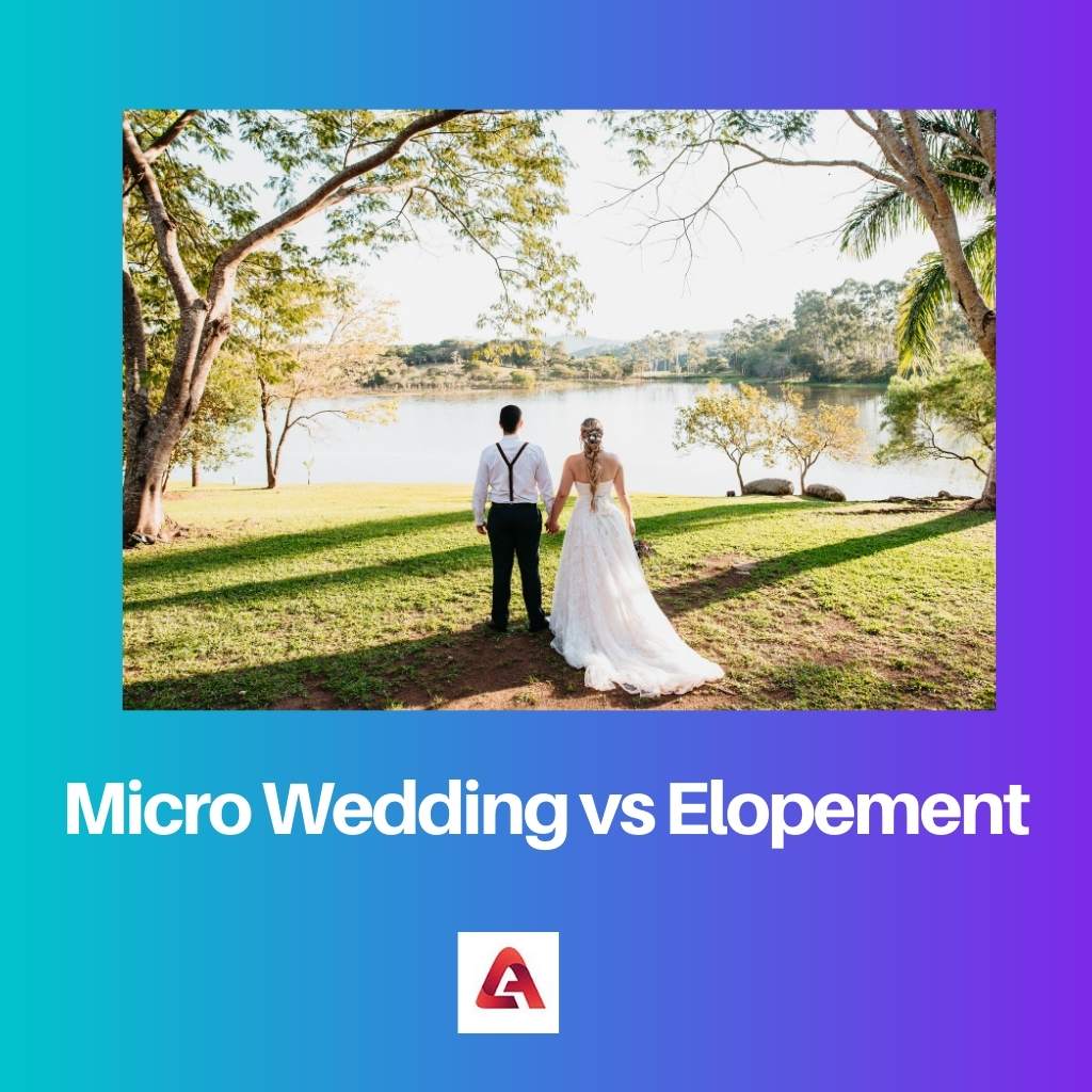 Micro Wedding vs Elopement