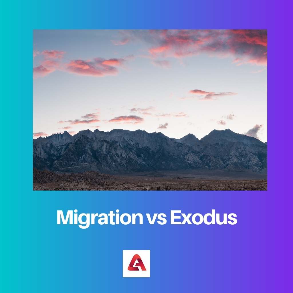 Migration vs