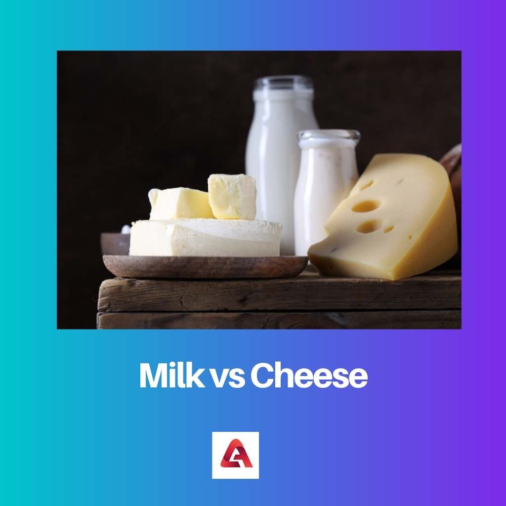 牛乳 vs チーズ