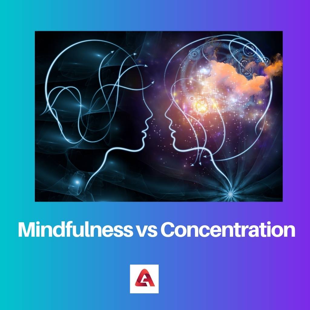 Mindfulness vs Concentration