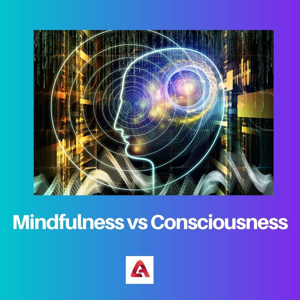 Všímavost versus vědomí
