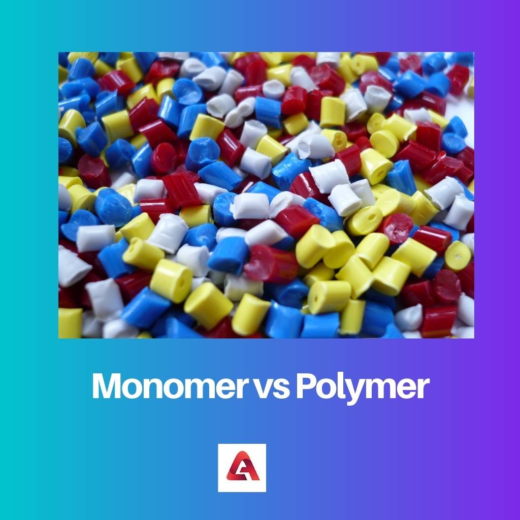Monomer vs Polymer