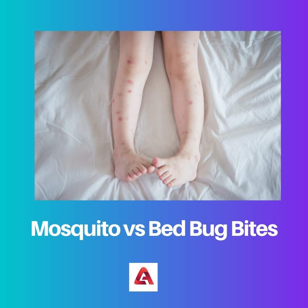 Picadas de mosquitos vs percevejos