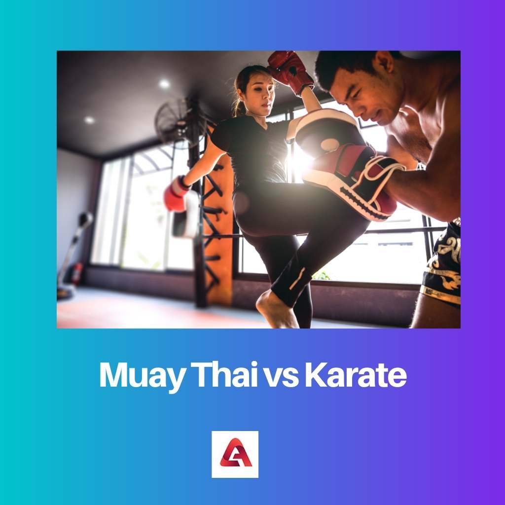 Muay Thai vs Karate