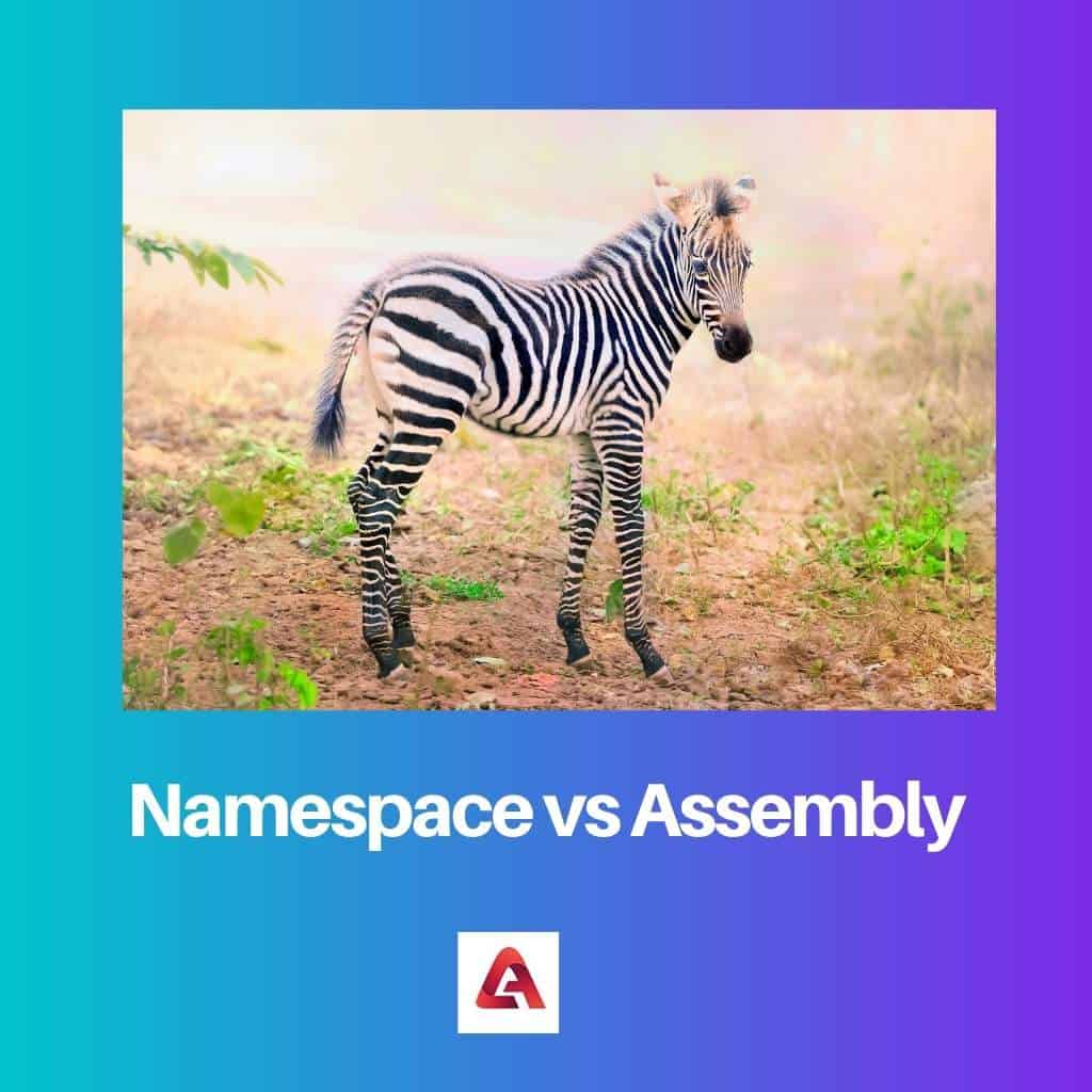 difference-between-namespace-and-assembly