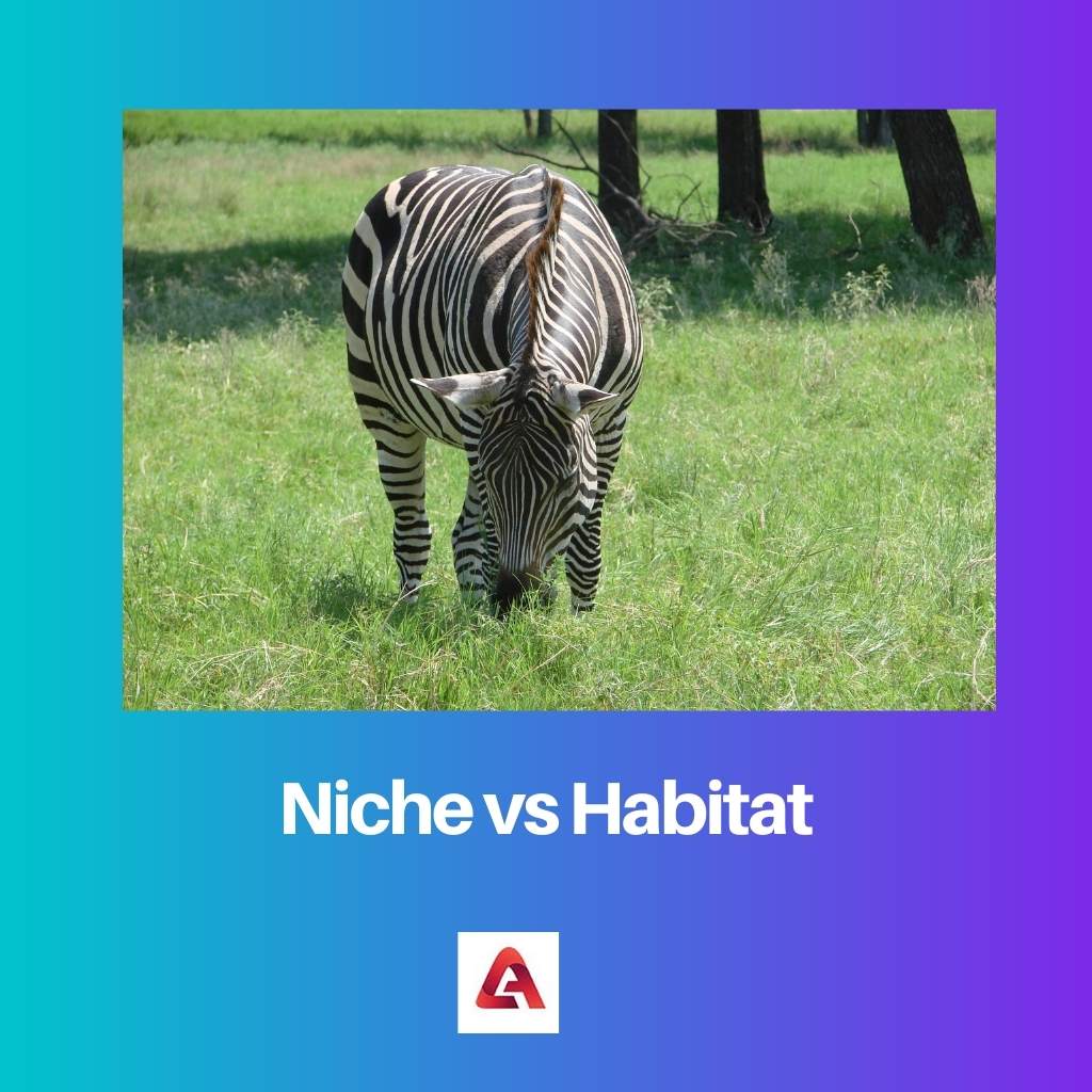 Niche vs Habitat