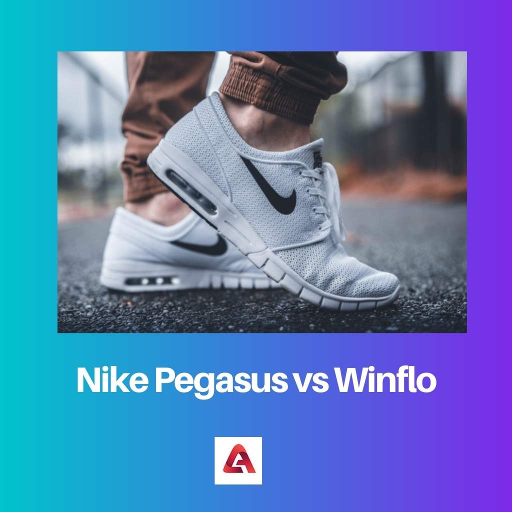 Nike Pegasus contre Winflo