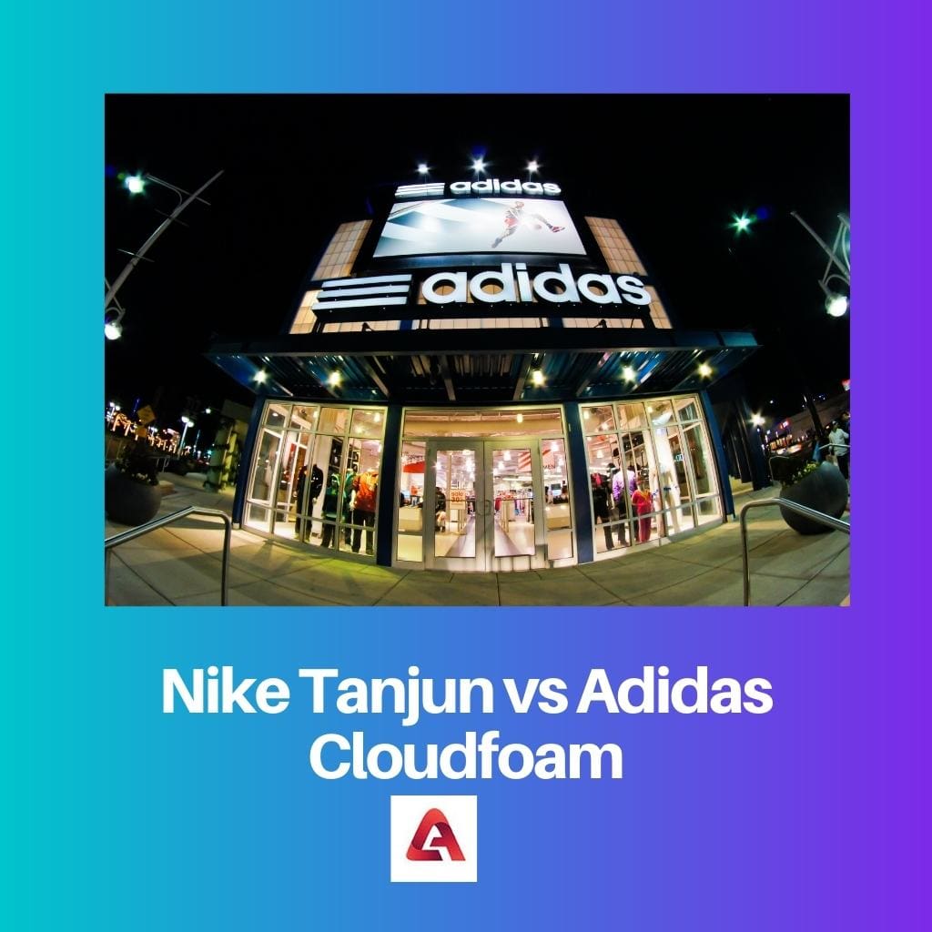 Nike Tanjun contre Adidas Cloudfoam