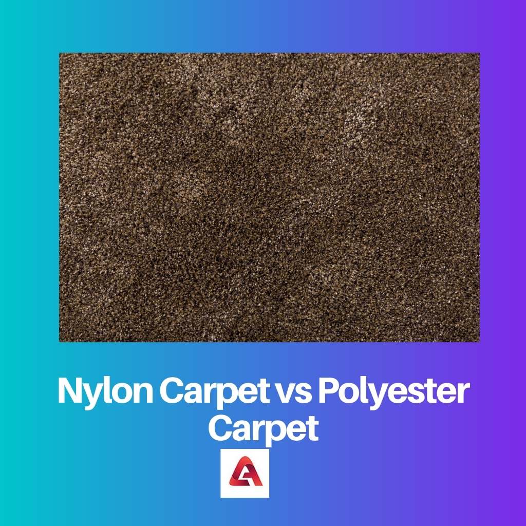 Tapis en nylon vs tapis en polyester