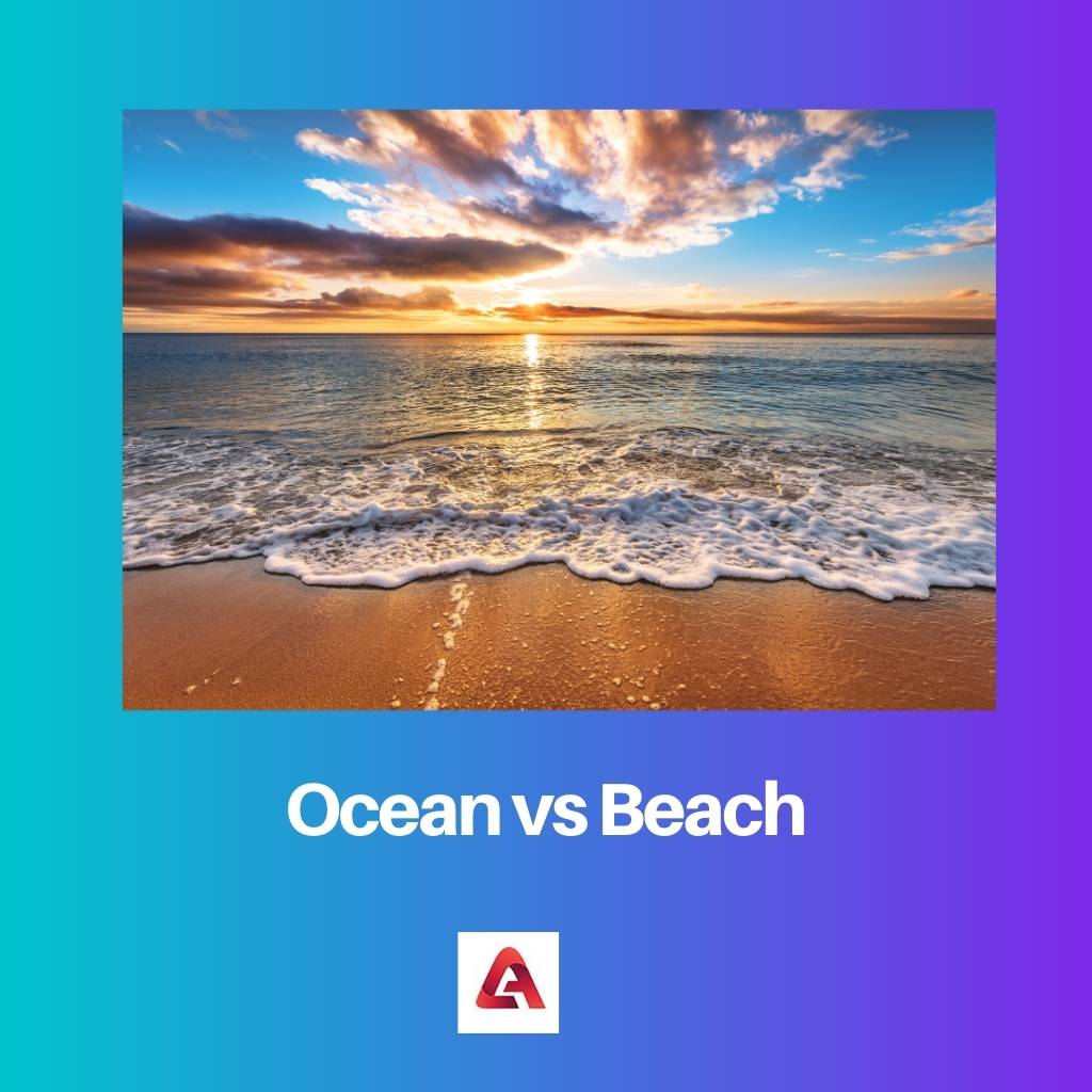 Океан против плаже