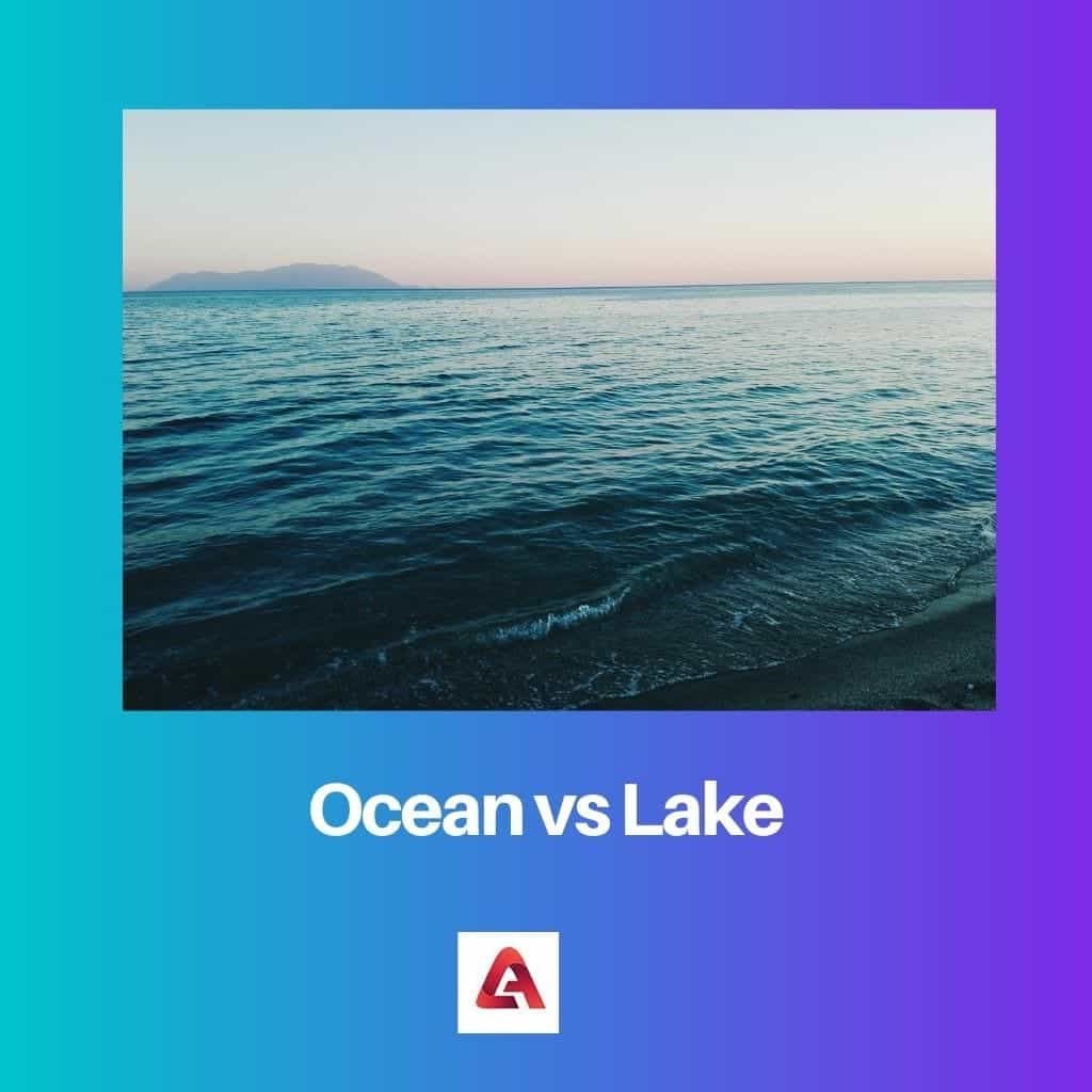 Ookean vs järv