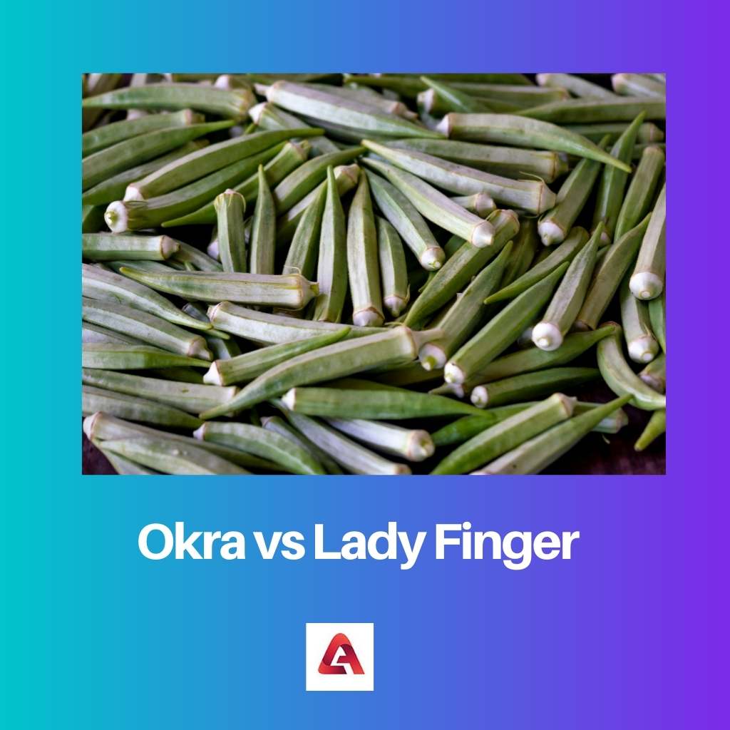 Okra contra el dedo de la dama