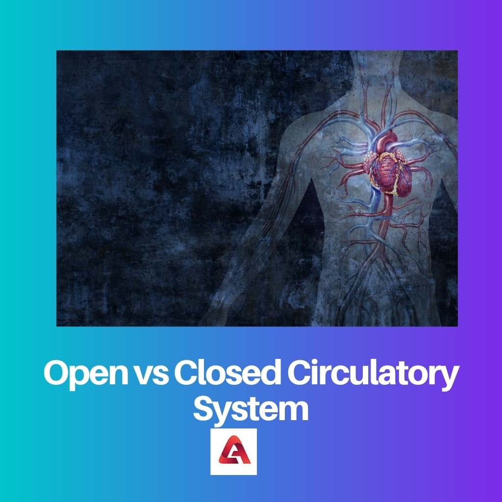 Open vs Closed Circulatory System