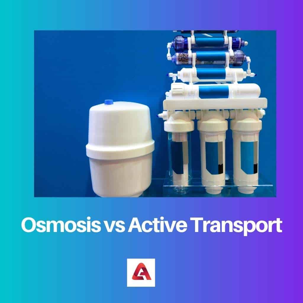 Osmosis Vs Active Transport Difference And Comparison