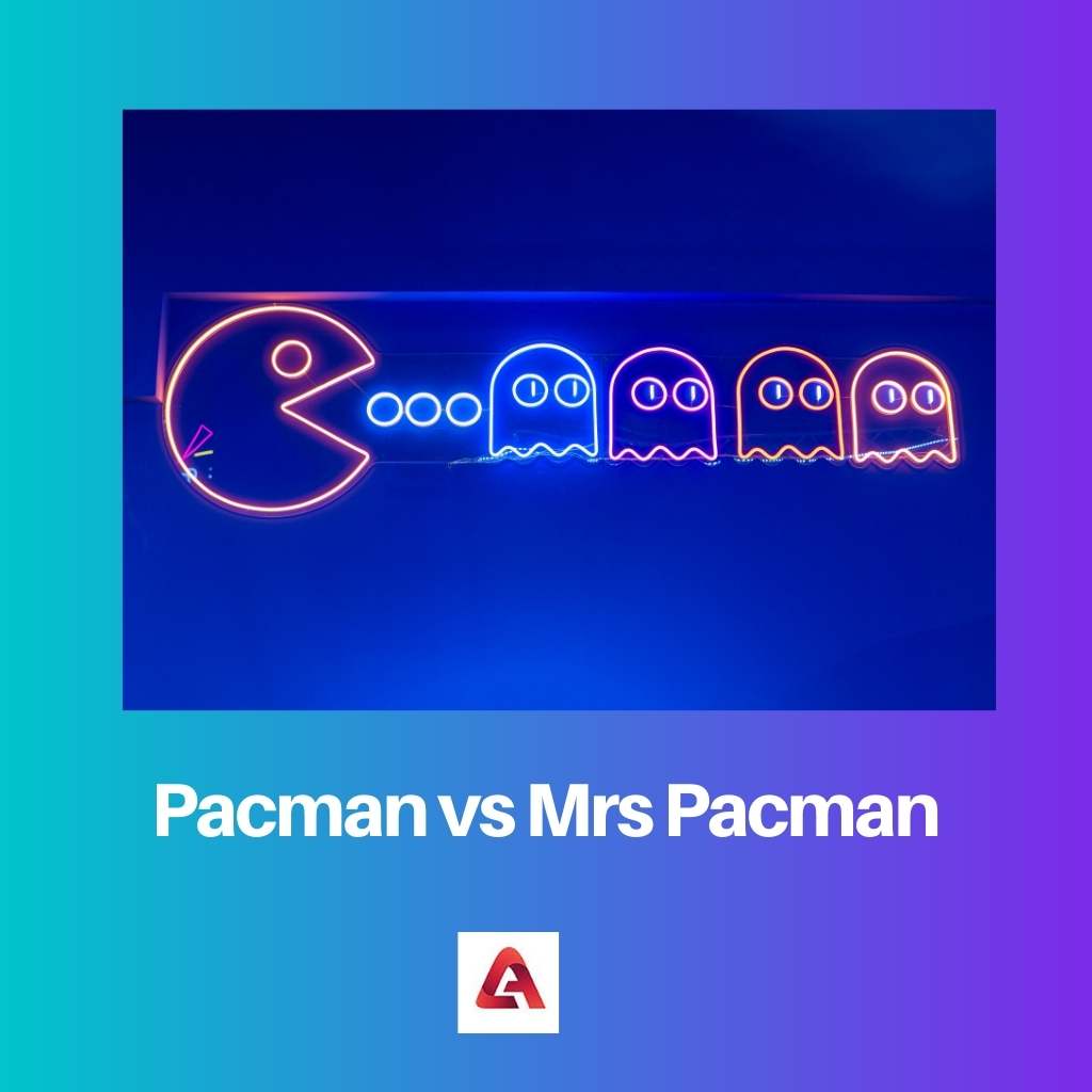 Pacman đấu với bà Pacman