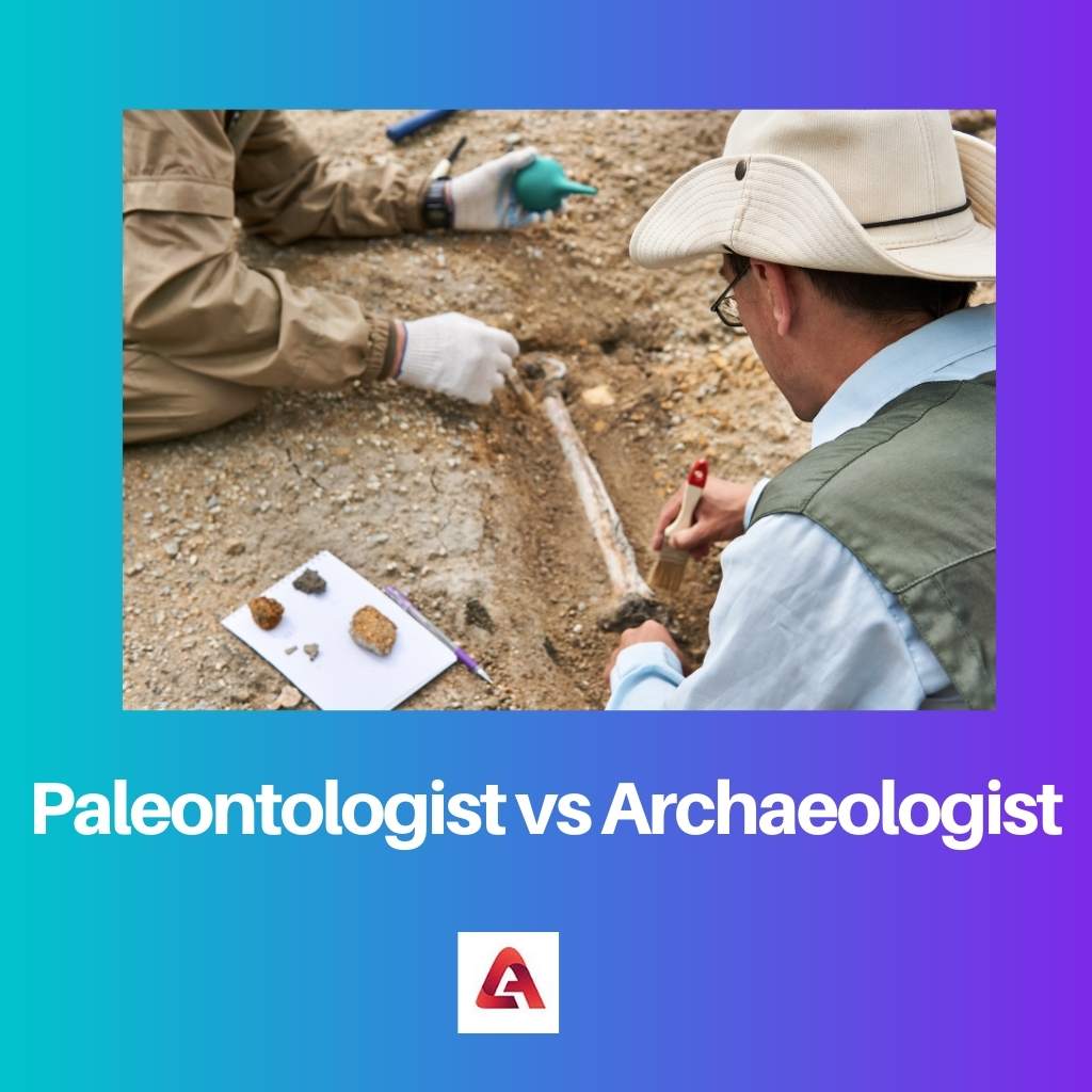 Nhà cổ sinh vật học vs Nhà khảo cổ học
