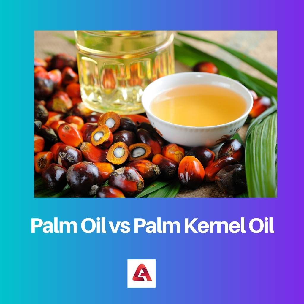 Óleo de palma vs óleo de palmiste