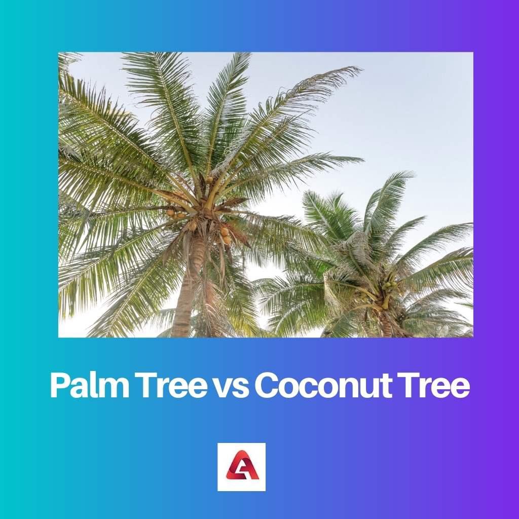 棕榈树与椰子树