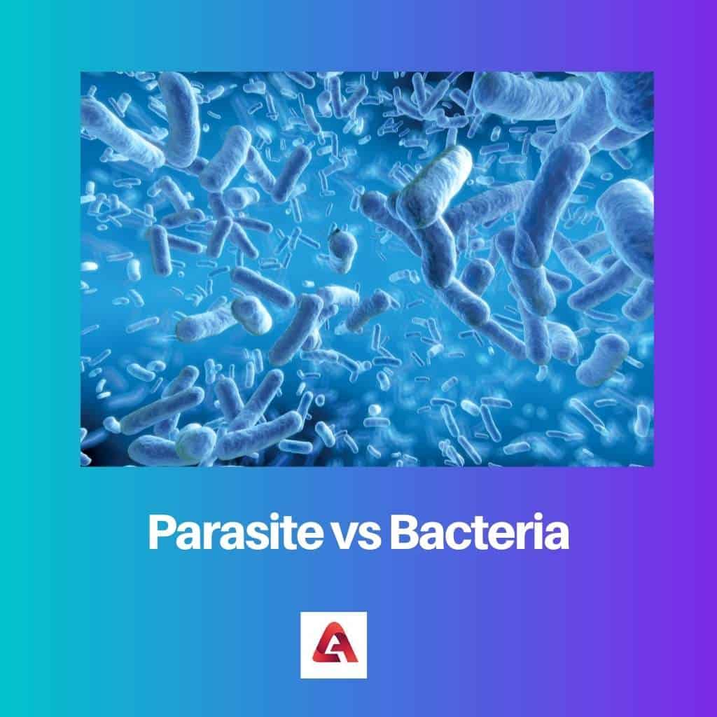 Parasit vs bakterier