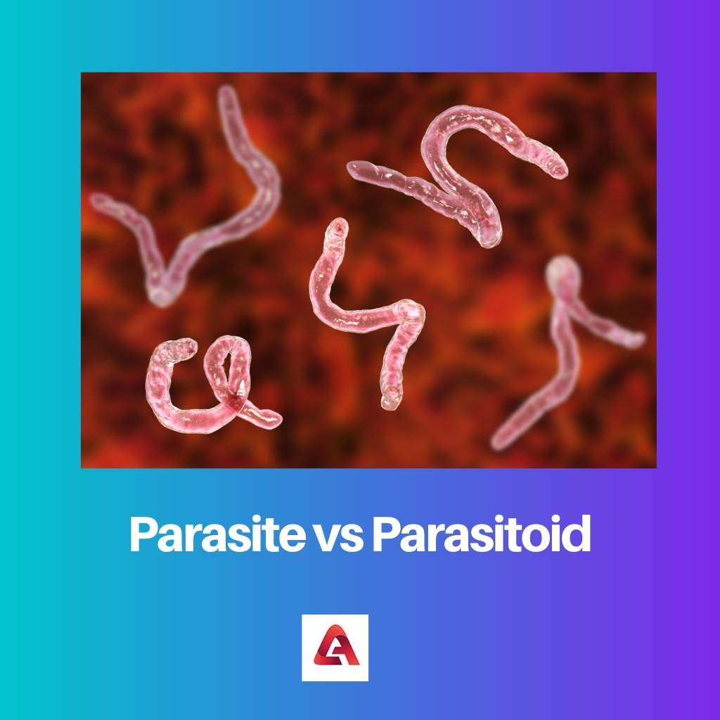 Parasiet versus parasitoïde