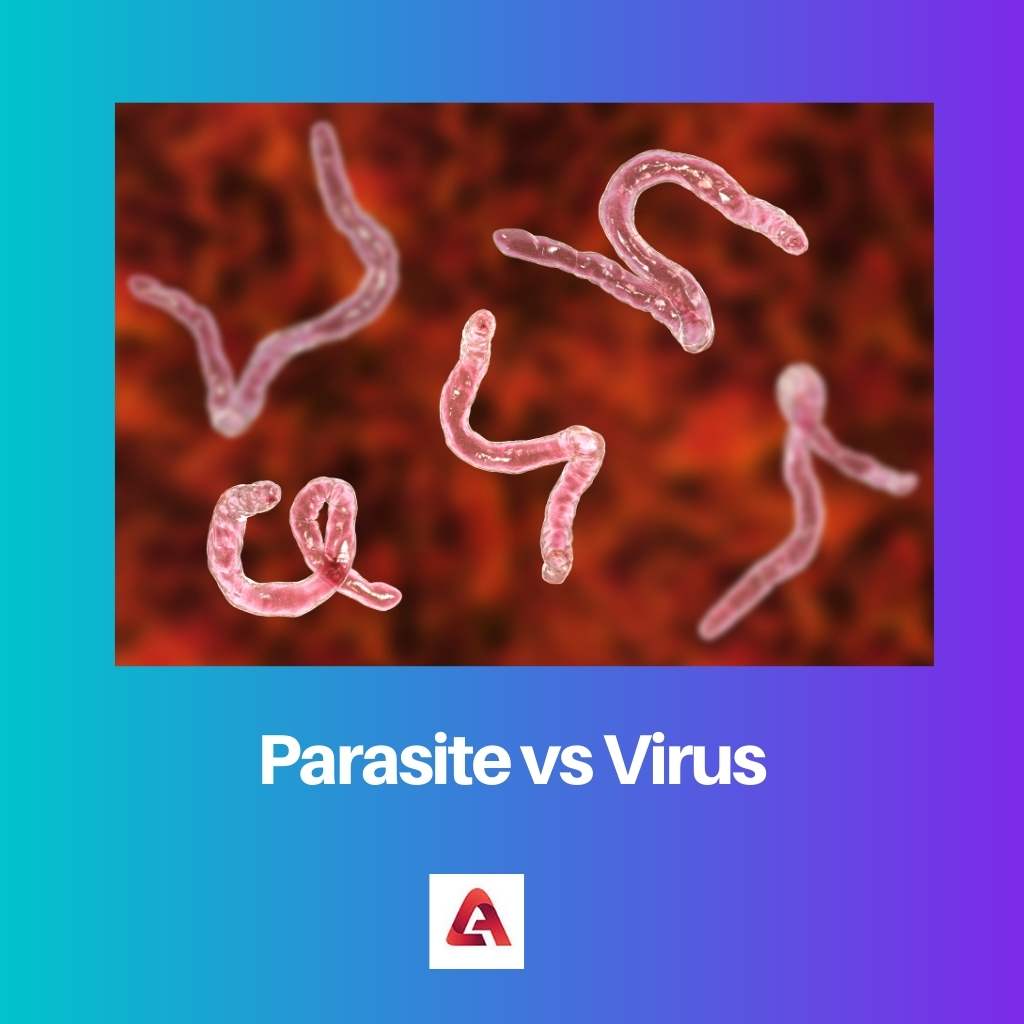 Ký sinh trùng vs Virus