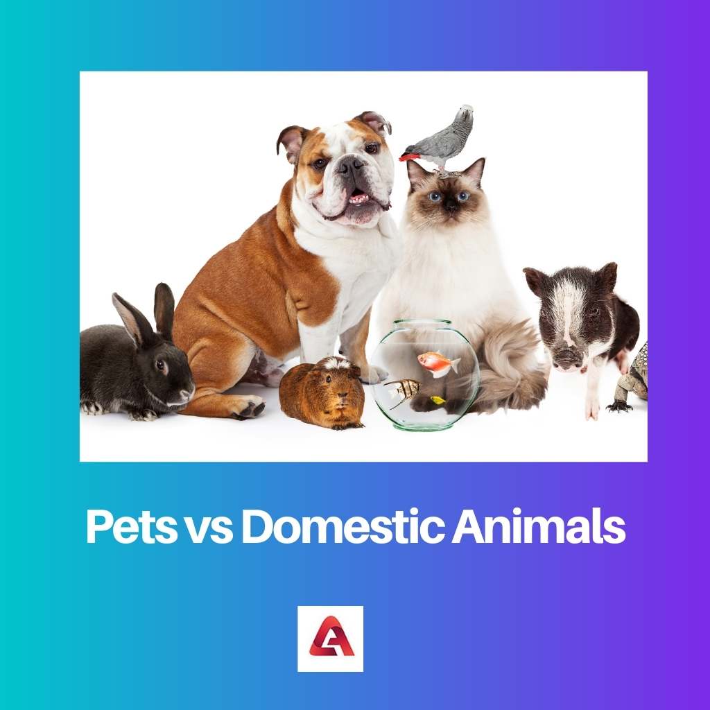 Pets vs Domestic Animals
