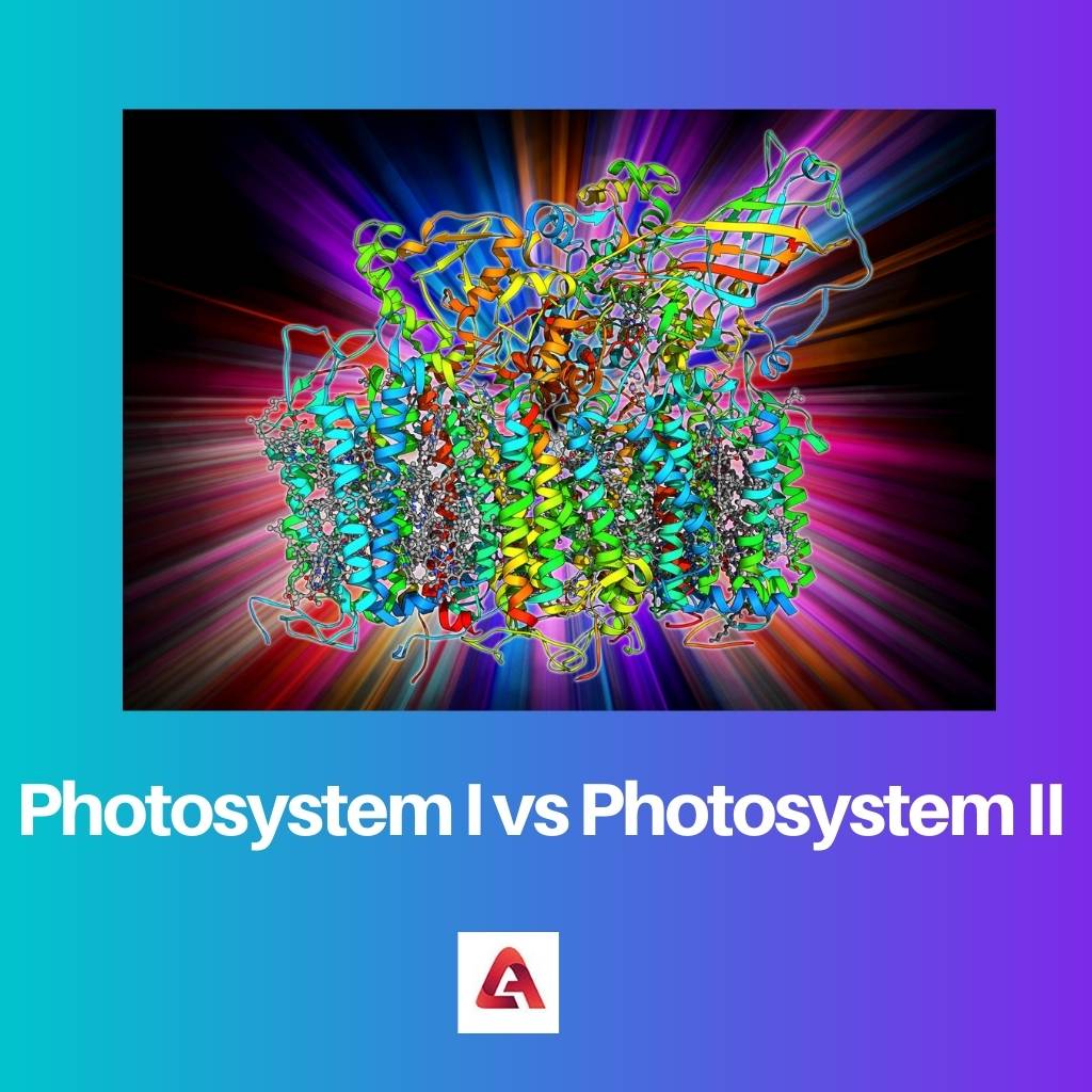 Fotosistema I vs Fotosistema II