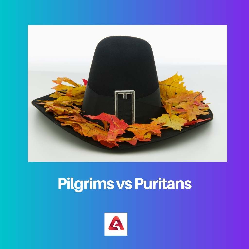 Pelgrims versus puriteinen