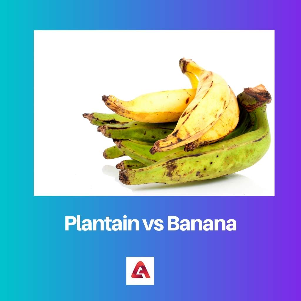 Jitrocel vs banán