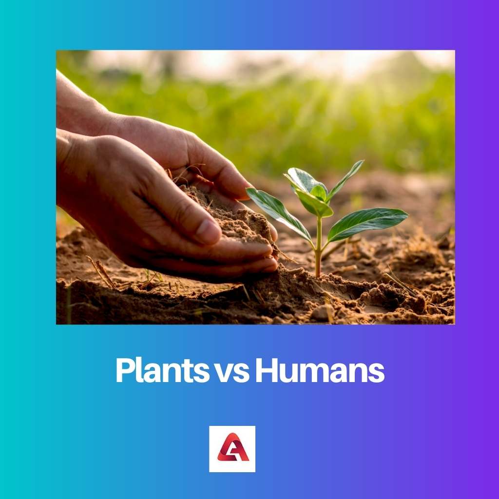Plants vs Humans