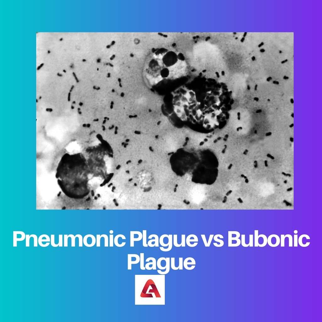 Pneumonic Plague vs Bubonic Plague