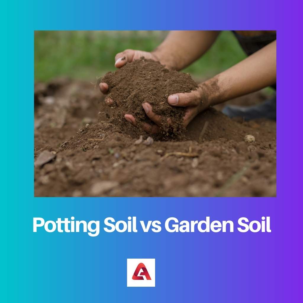 Potting Soil vs Garden Soil