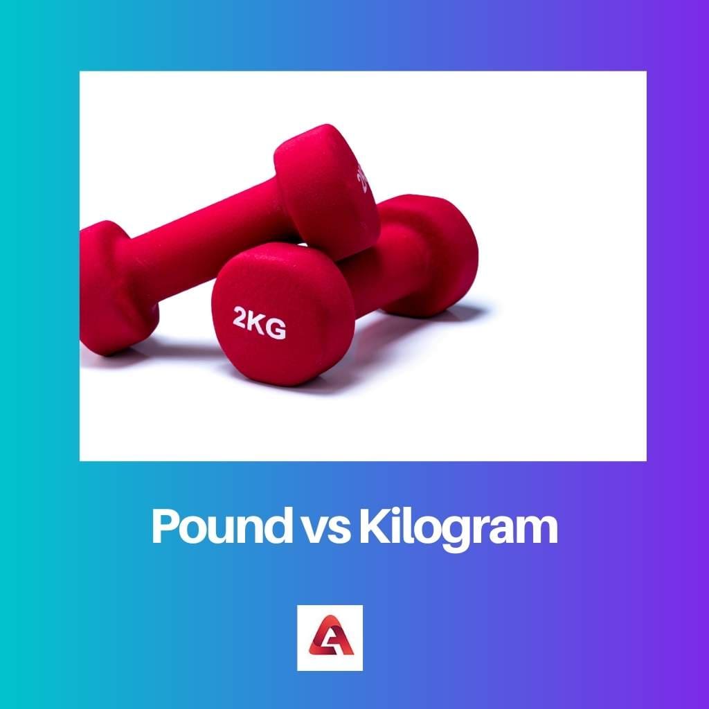 Pfund gegen Kilogramm