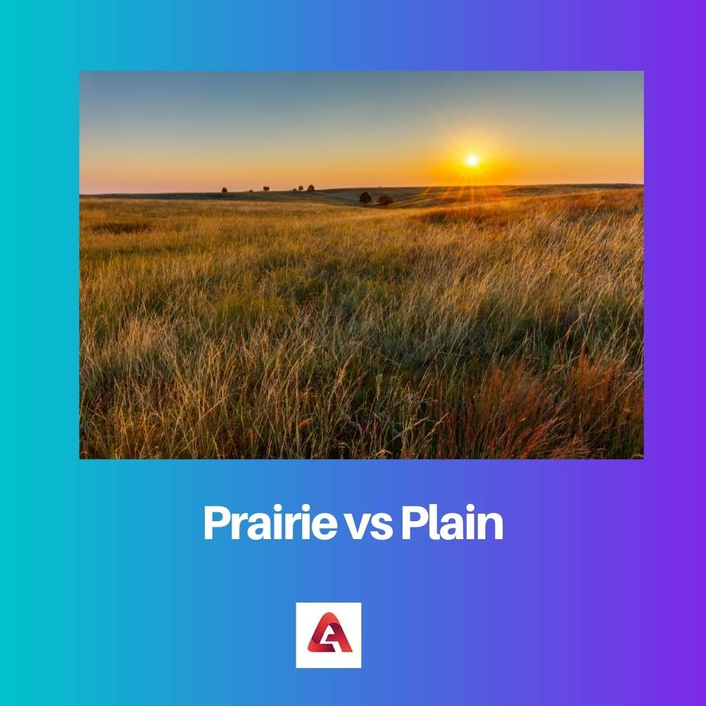 Prairie versus vlakte