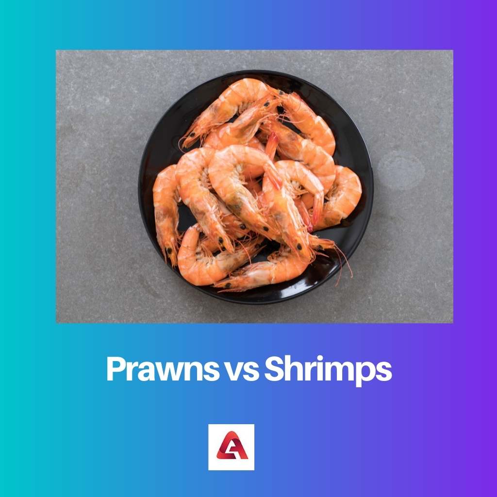 Prawns vs Shrimps