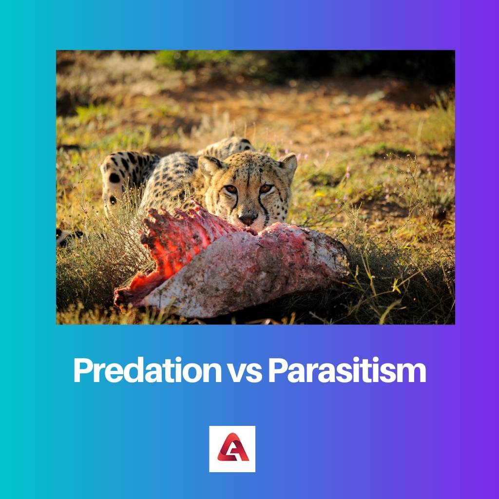 Predatie versus parasitisme