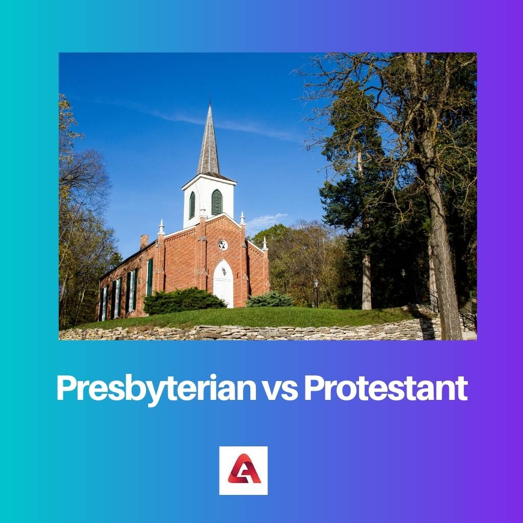 Presbiterian vs Protestan