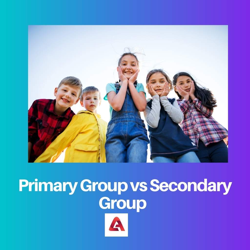 Primární skupina versus sekundární skupina