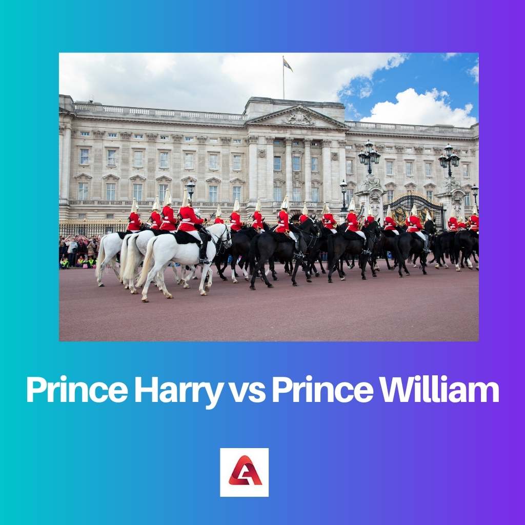 Prins Harry vs Prins William