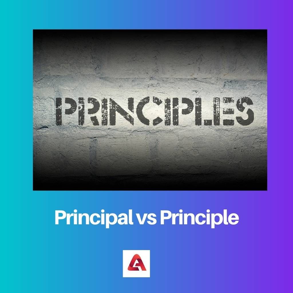Pääasiallinen vs periaate