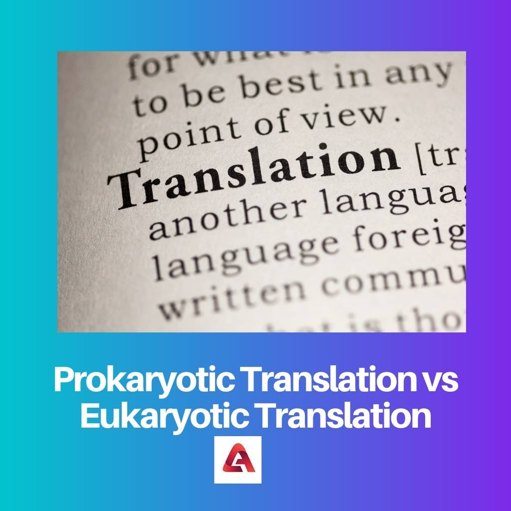Prokaryotic Translation vs Eukaryotic Translation