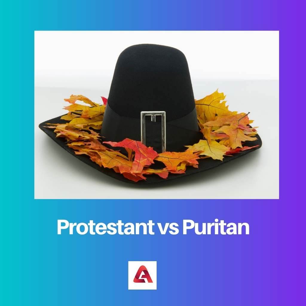 Protestant vs Puritan