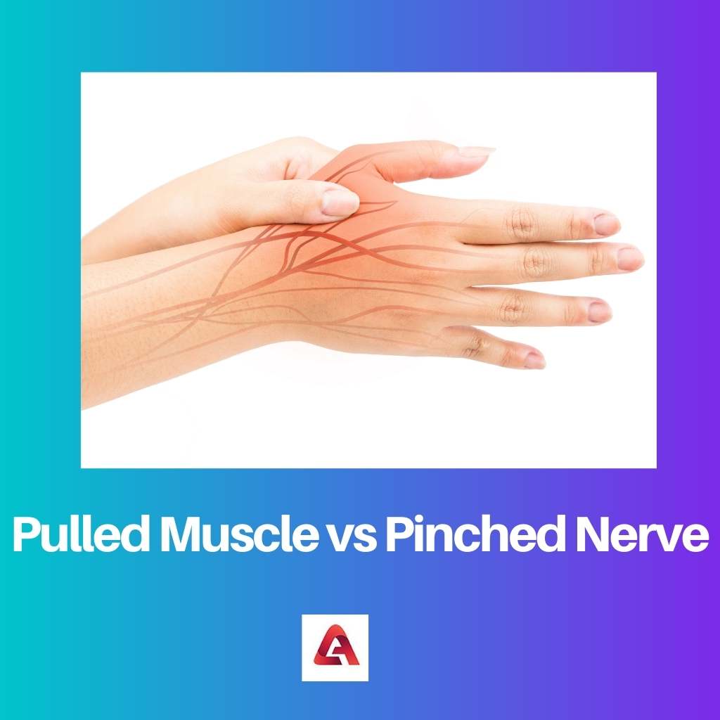 Muscle tiré vs nerf pincé