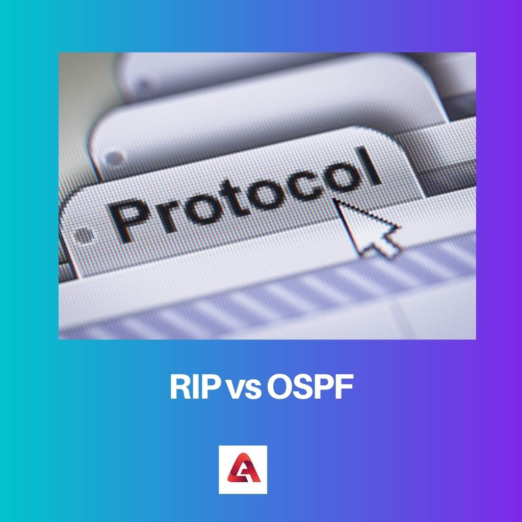 RIP と OSPF